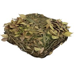 Biomass